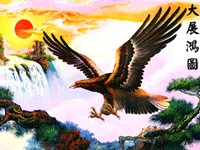 供应立体光栅材料